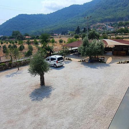 Olive Tree Apart Hotel Mugla Exterior photo