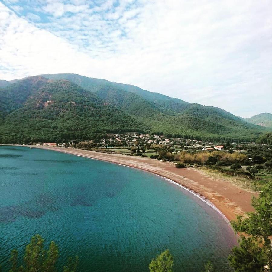 Olive Tree Apart Hotel Mugla Exterior photo